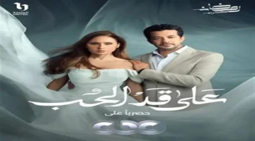 موعد عرض الحلقة 22 من مسلسل على قد الحب مع نيللي كريم
